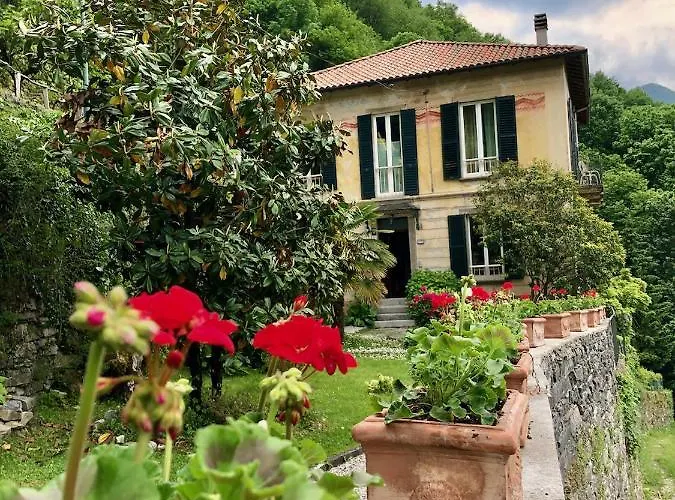 Le Ortensie Faggeto Lario