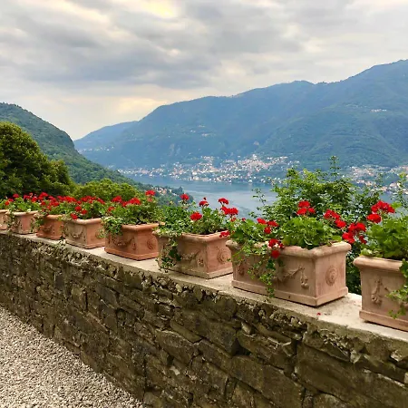 Le Ortensie Faggeto Lario