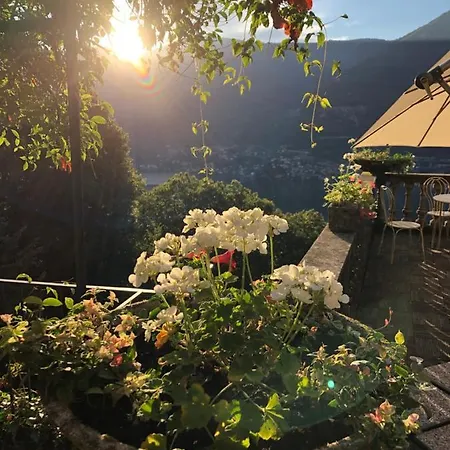 Couette-café Le Ortensie