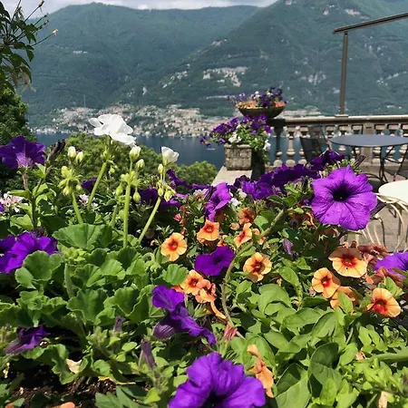 住宿加早餐酒店 Le Ortensie *