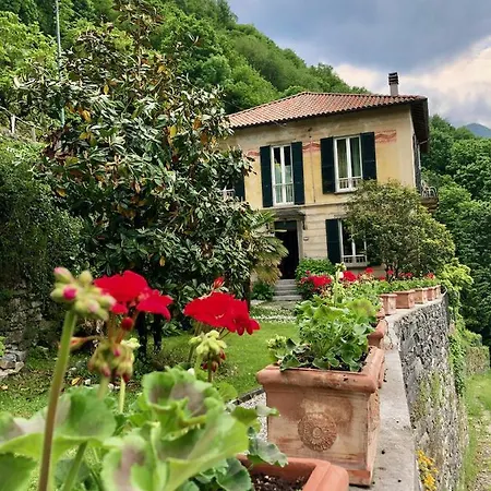 Le Ortensie Faggeto Lario