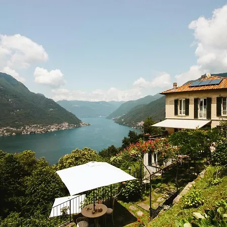 Le Ortensie Faggeto Lario