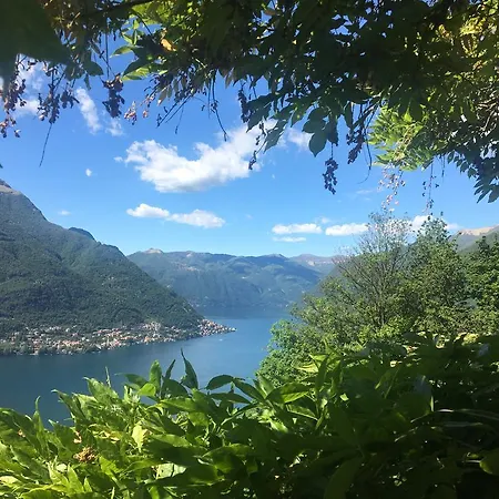 Le Ortensie Faggeto Lario