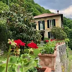 Le Ortensie Faggeto Lario