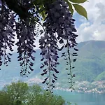 Le Ortensie 3*