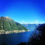 Le Ortensie