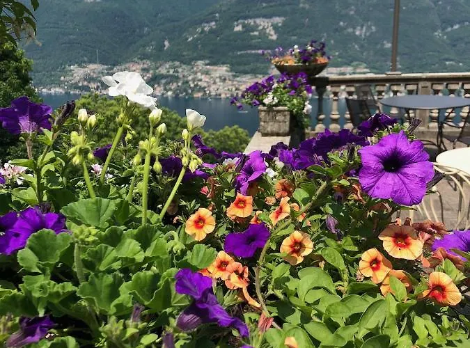 Bed and Breakfast Le Ortensie 3*