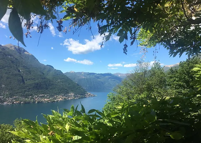 Le Ortensie Faggeto Lario