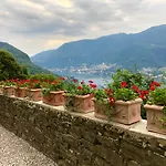 Le Ortensie Faggeto Lario