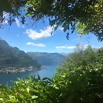 Le Ortensie Faggeto Lario
